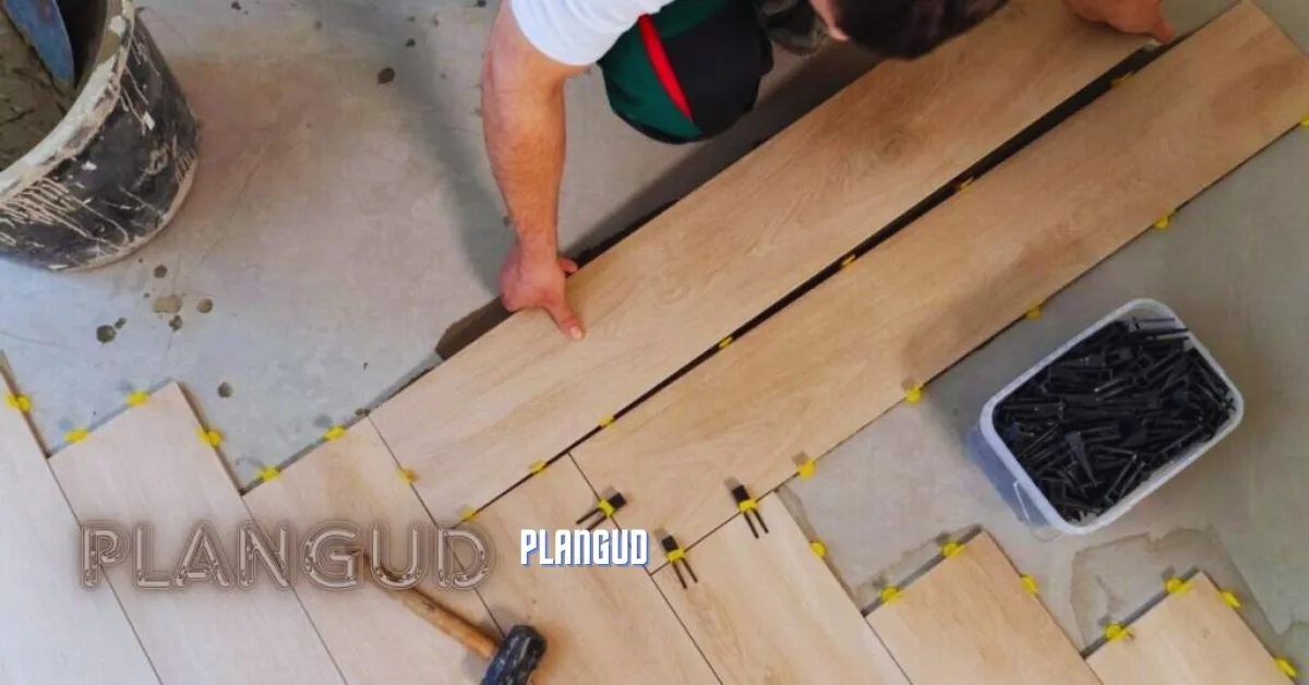 Plangud