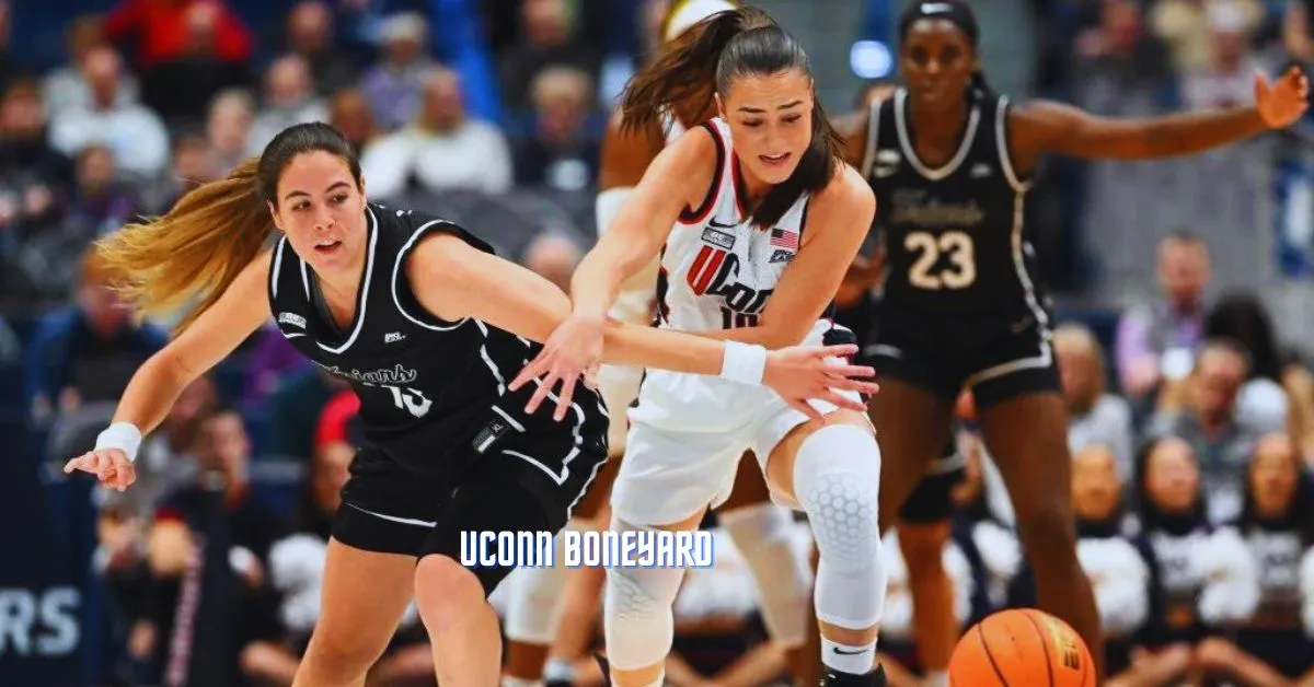 UConn Boneyard
